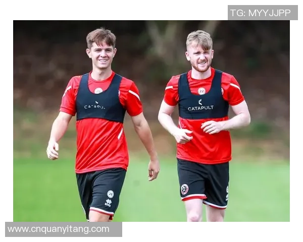 卢顿对阵谢菲尔德星期三精彩直播全程回顾与分析